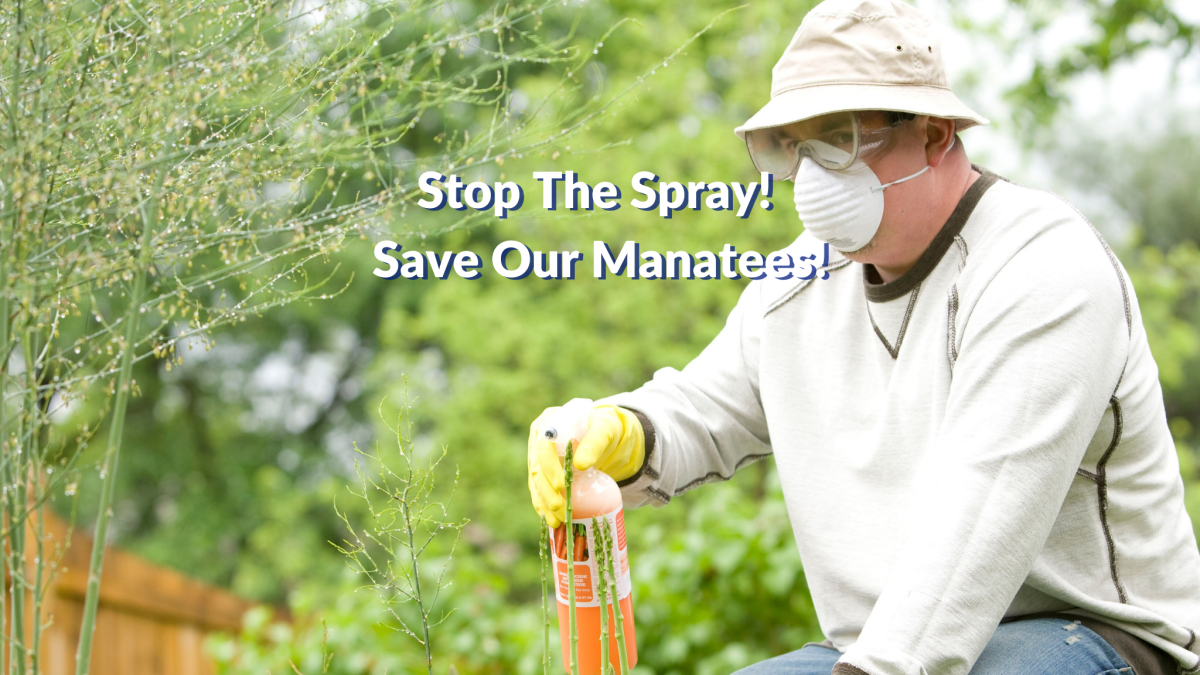 Stop The Spray – Save Our&nbsp;Manatees