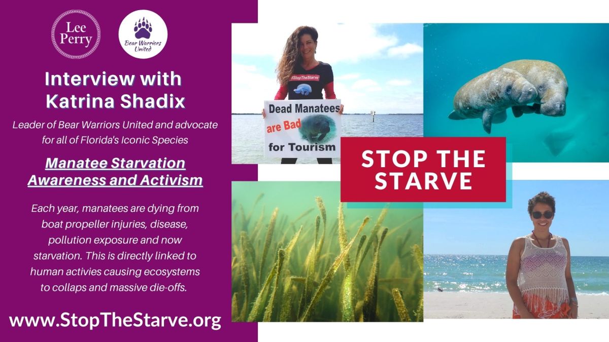 #StopTheStarve: Interview with Activist Katrina Shadix on Saving the Manatees from&nbsp;Starvation