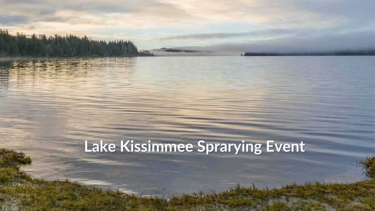 Lake Kissimee Spraying