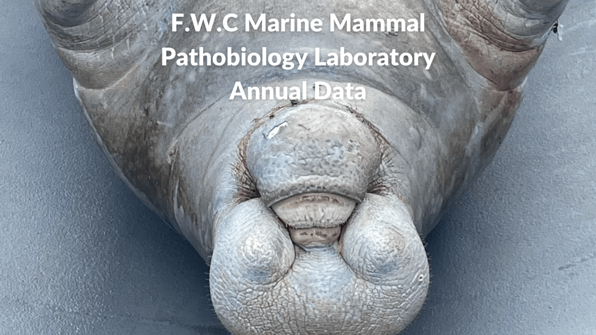 PathoBiology Laboratory Reports from the Florida Fish and Wildlife&nbsp;Commission