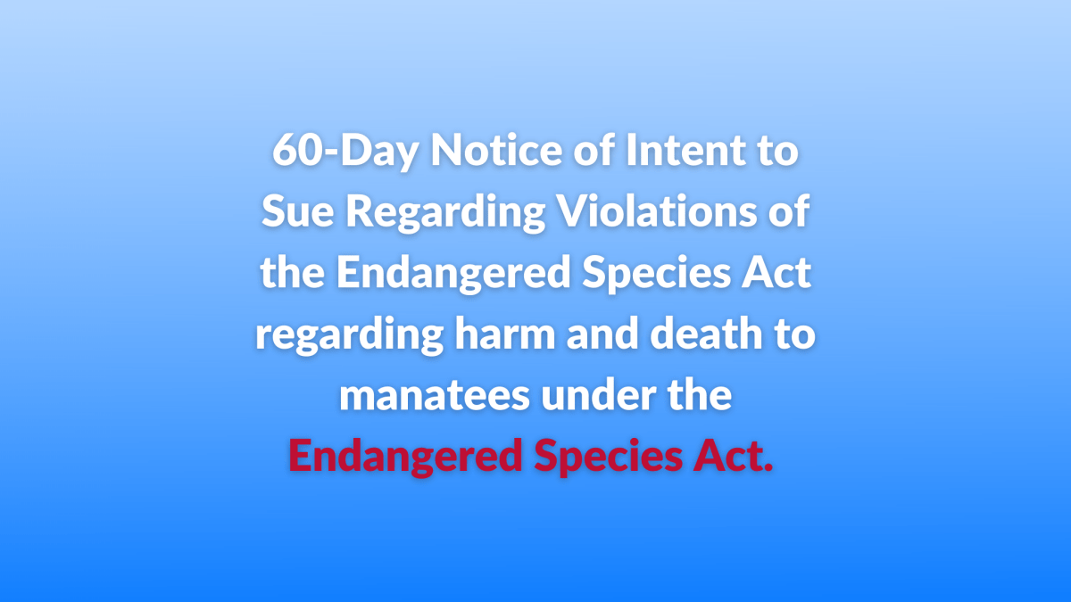 Bear Warriors United Sues State for Manatee&nbsp;Starvation